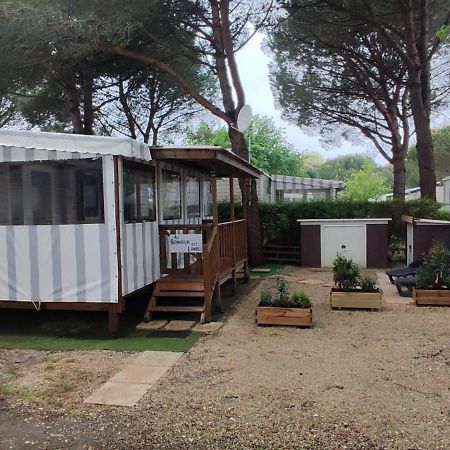 Au Bonheur Des Landes Hotel Gastes Exterior foto